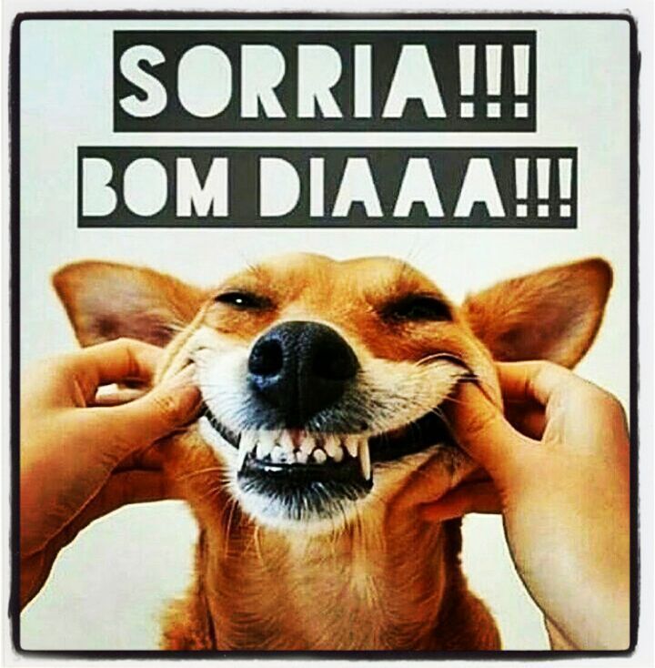 Plano de manutenção do bom humor (revisões mensais)